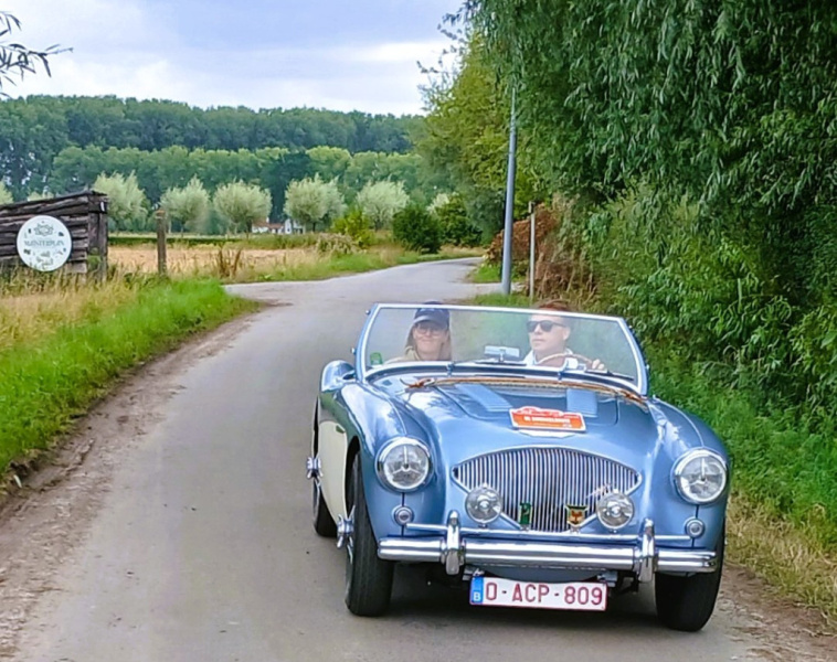 Middagstop-Maisterplan-Damme-15