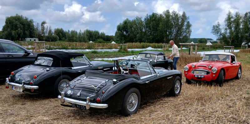 Middagstop-Maisterplan-Damme-18