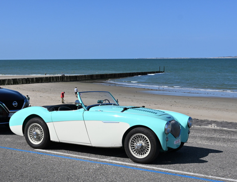 Opdracht-puntenrit-schelpjes-verzamelen-op-het-strand-04