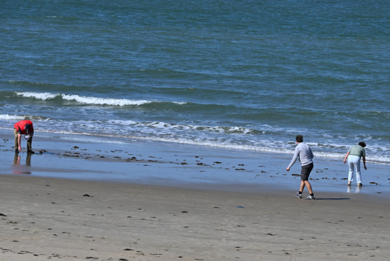 Opdracht-puntenrit-schelpjes-verzamelen-op-het-strand-05